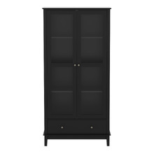 Darius 2 Door Display Cabinet